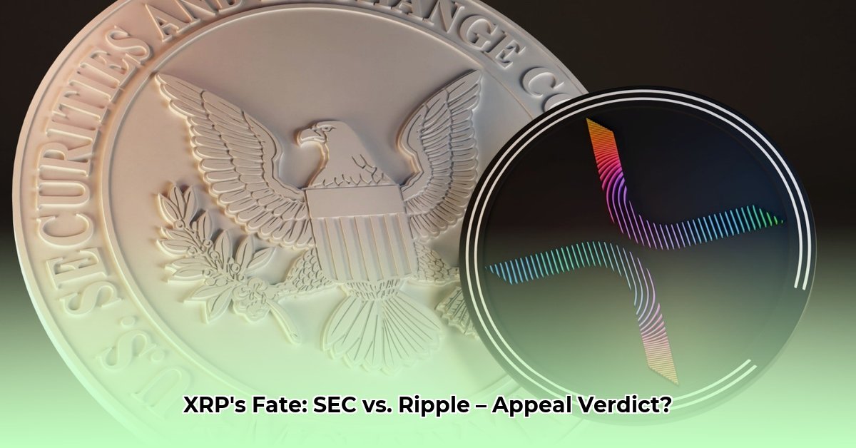 sec-ripple-news